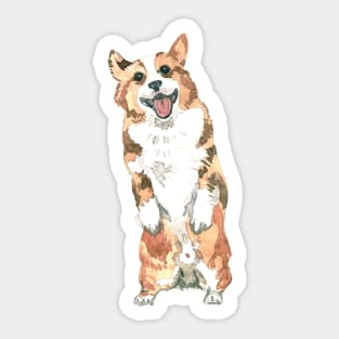 Cute Watercolor Corgi Dog Puppy Pattern Sticker